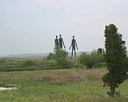 图片 1