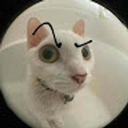 kiryattf