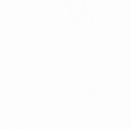 zamekisss