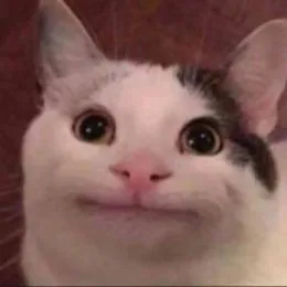 demikll