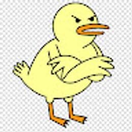 kumaken