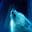 WolF_308