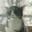 3adrot22815