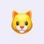 tarasove1995_gmail_com