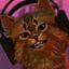 Fred_542